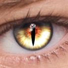 Скачать FoxEyes - Change Eye Color by Real Anime Style (Полная) на Андроид