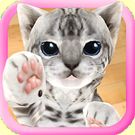 Скачать 3D Cute Cat Live Wallpaper (Обновленная) на Андроид