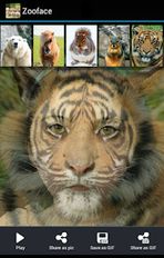 Скачать Zooface - GIF Animal Morph (Обновленная) на Андроид