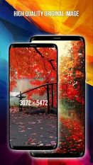Скачать Wallpapers - 4k HD wallpapers & background (Обновленная) на Андроид